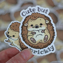 Load image into Gallery viewer, Prickly Hedgehog | Vinyl Die Cuts