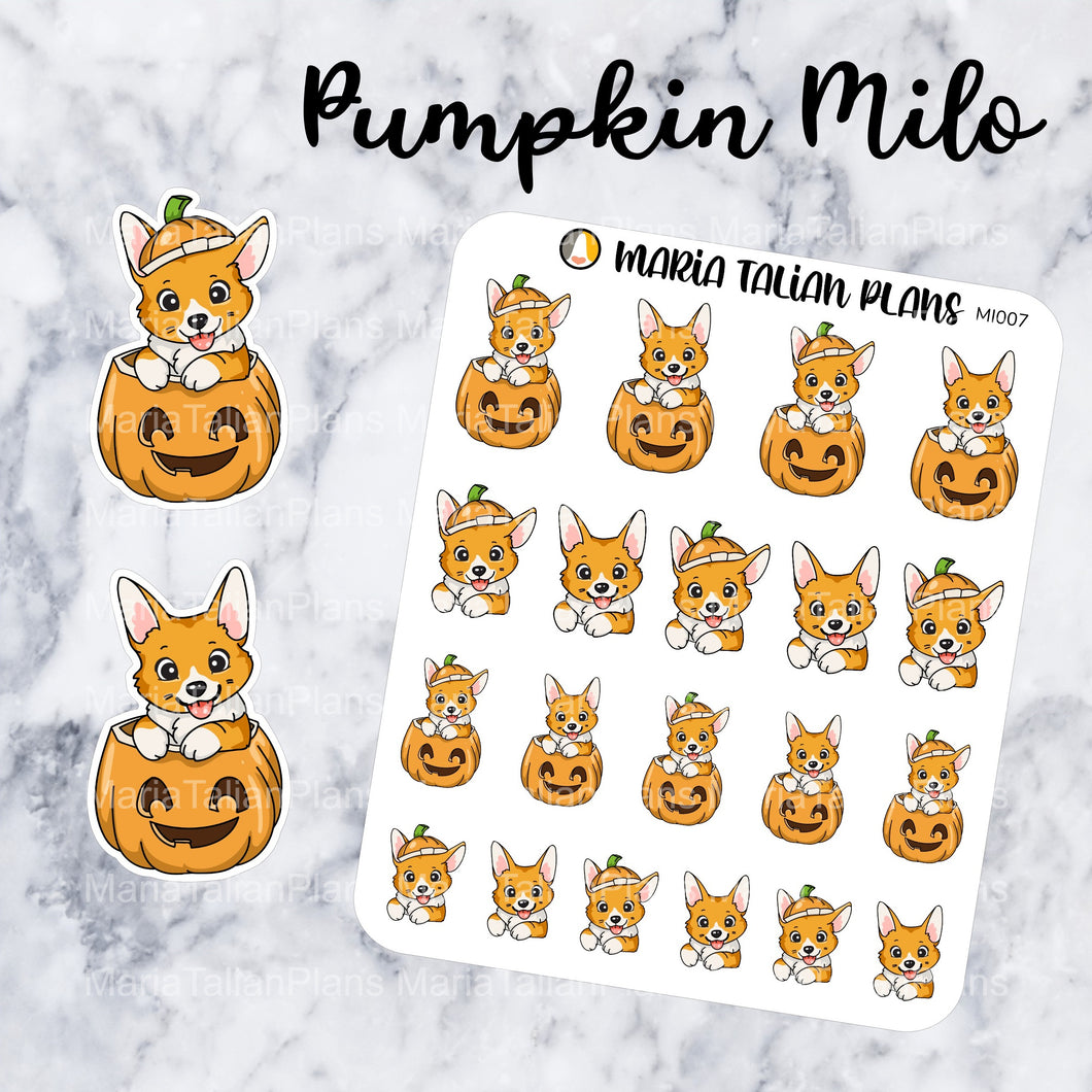 Pumpkin Milo | Corgi Stickers