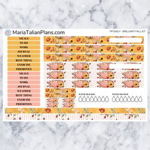 Passion Planner Daily Sticker Kit - Brilliant Fall
