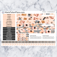 Load image into Gallery viewer, Passion Planner Daily Sticker Kit - Champagne
