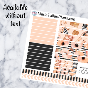 Passion Planner Daily Sticker Kit - Champagne