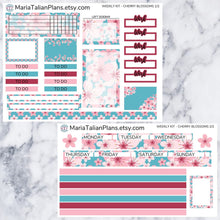 Load image into Gallery viewer, Passion Planner Weekly Sticker Kit - Cherry Blossoms
