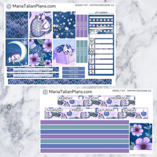 Load image into Gallery viewer, Passion Planner Weekly Sticker Kit - Winter Dragons
